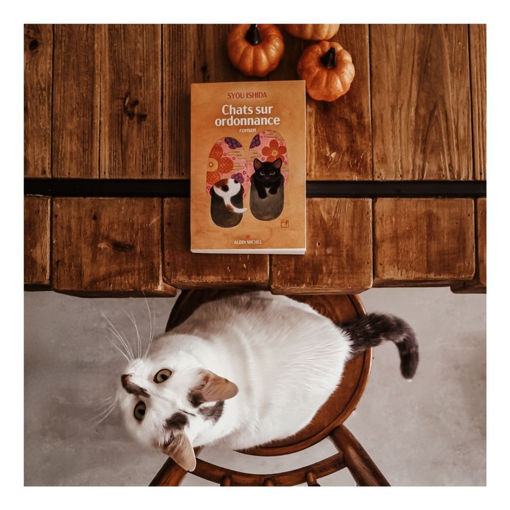 Chats sur ordonnance - Syou Ishida