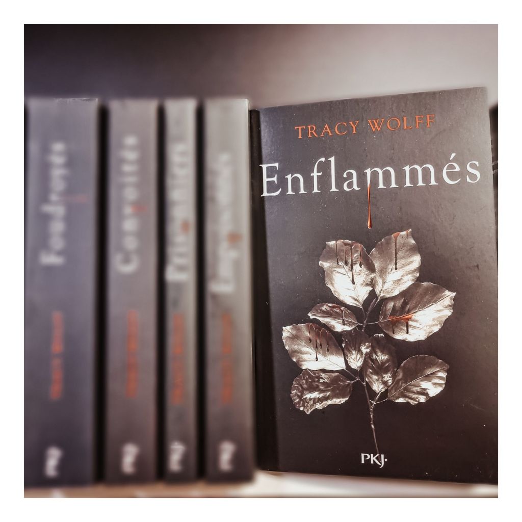 Assoiffés T10 : Enflammés – Tracy Wolff
