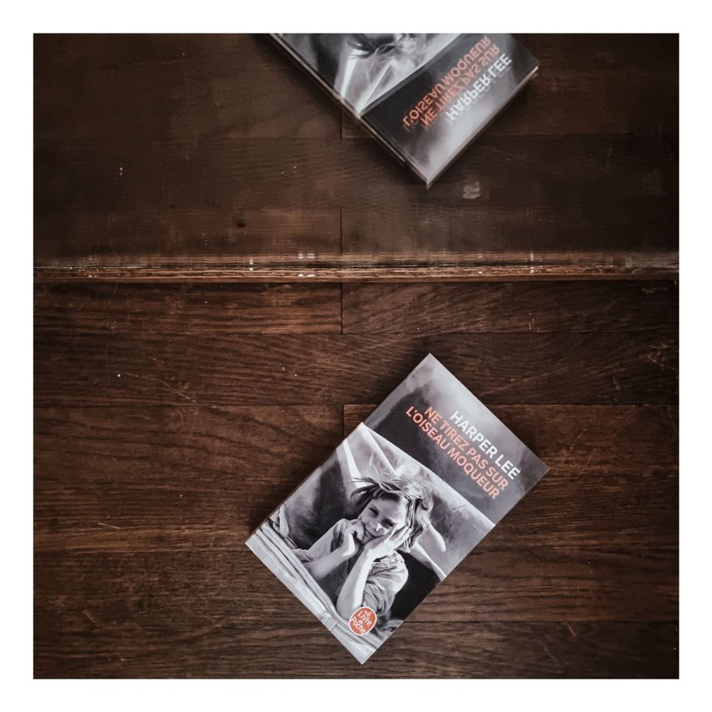 Ne tirez pas sur l'oiseau moqueur - Harper Lee