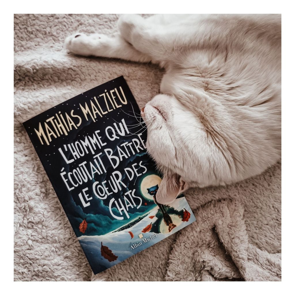 L'homme qui écoutait battre le coeur des chats - Mathias Malzieu