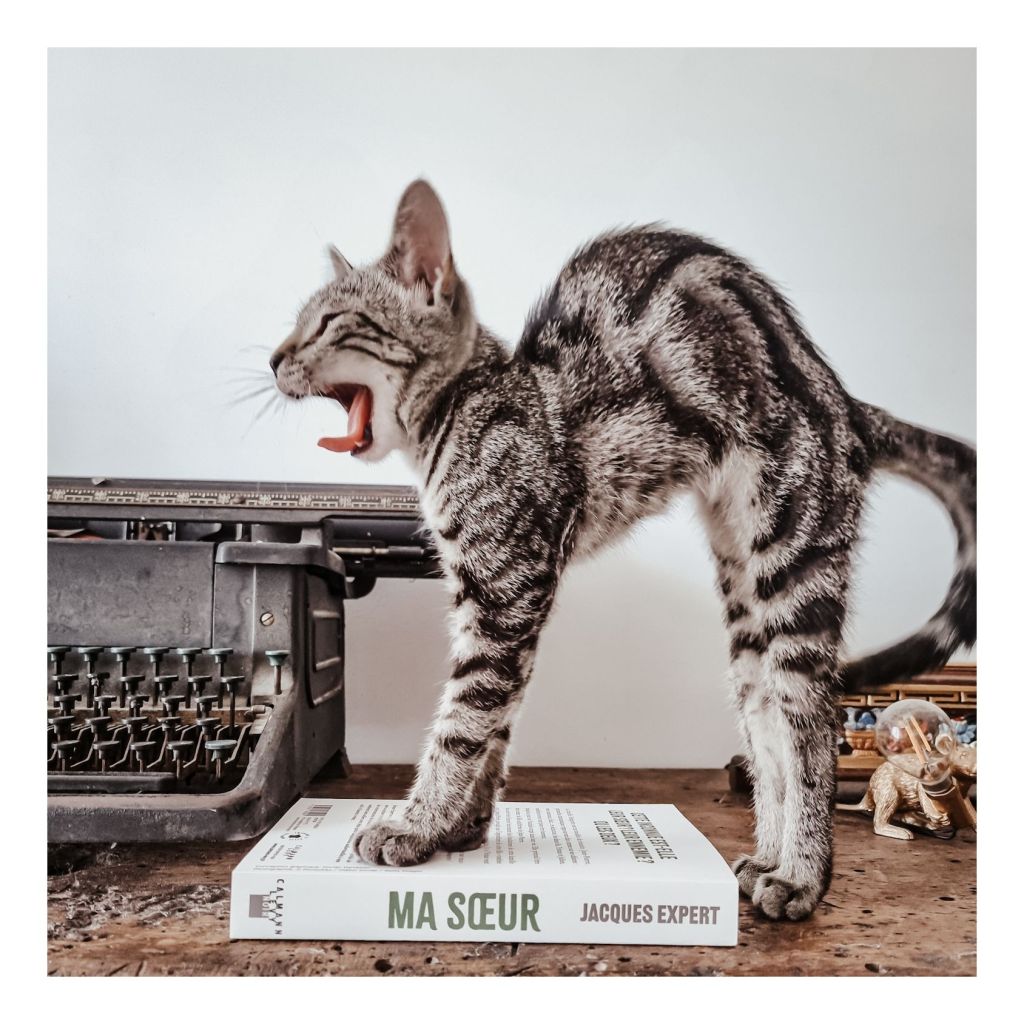 Ma sœur - Jacques Expert