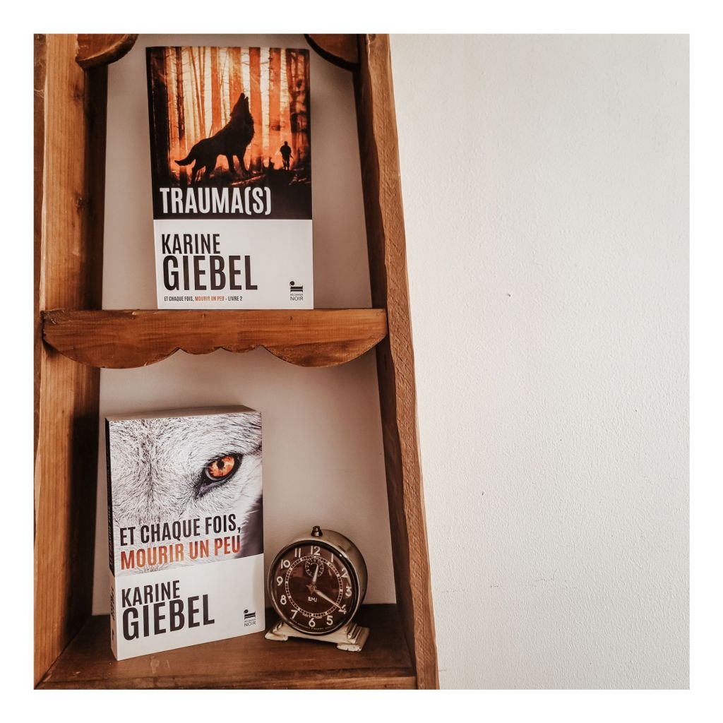 Trauma(s) - Karine Giebel
Et chaque fois mourir un peu
Tome 2