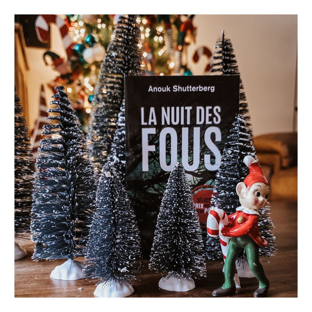 La nuit des fous - Anouk Shutterberg