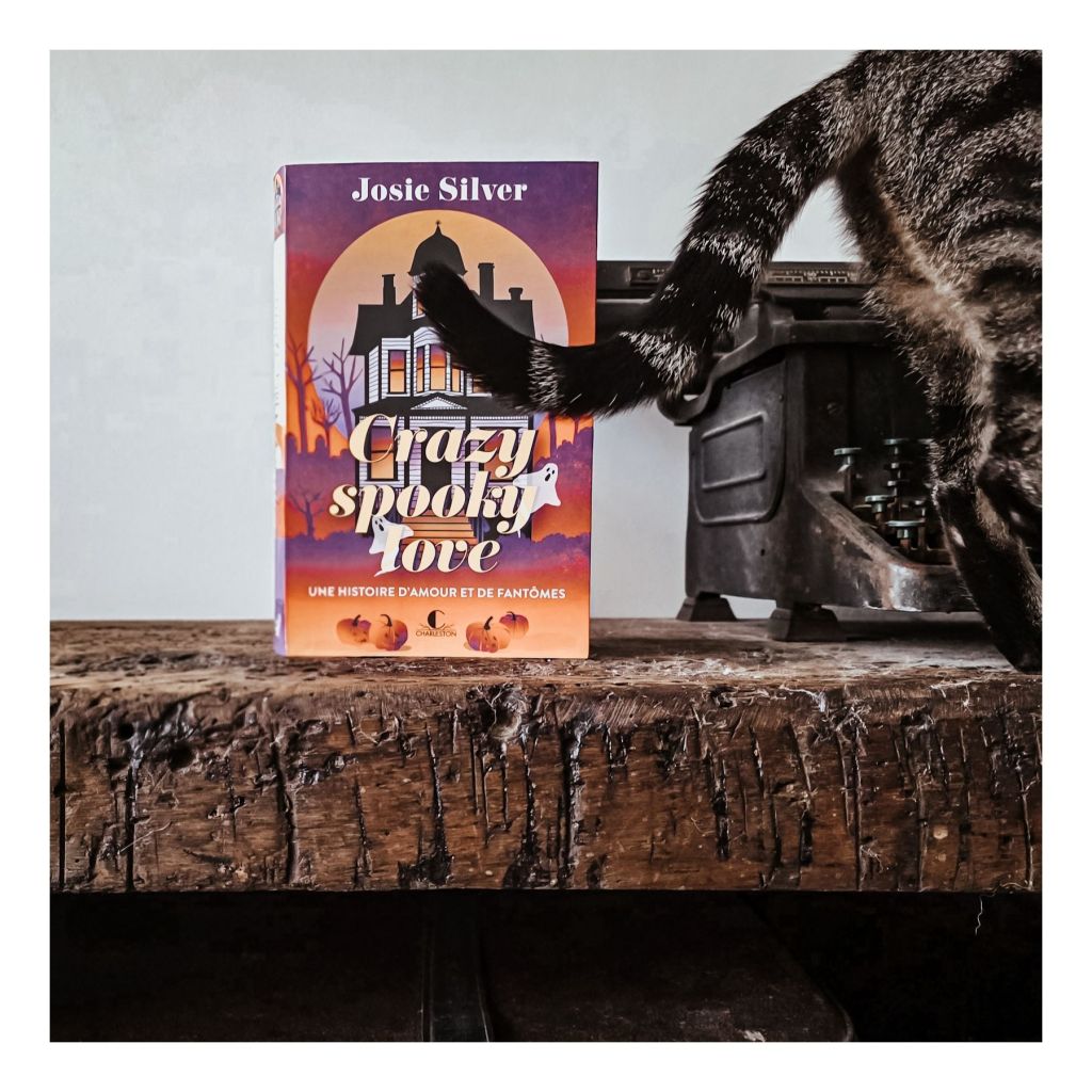 Crazy Spooky Love - Josie Silver