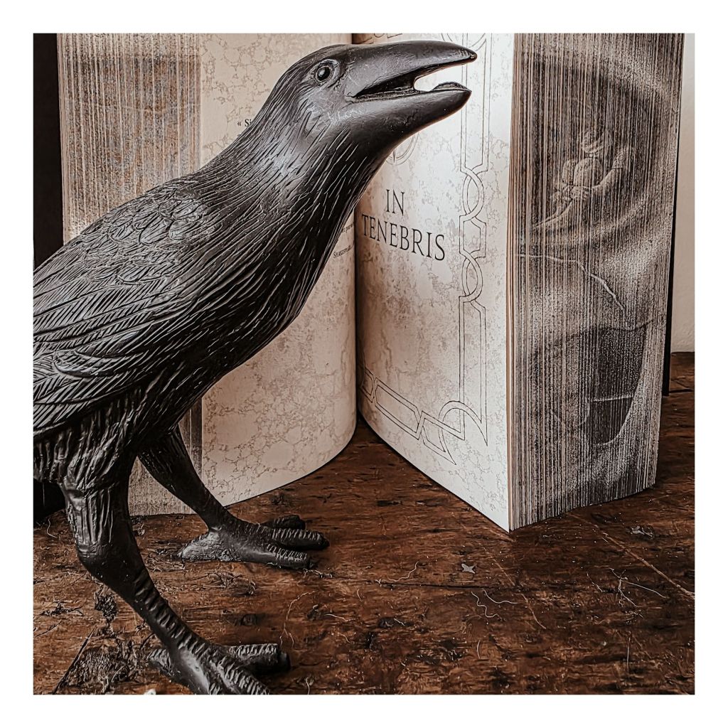 La Trilogie du Mal, T2 : In Tenebris - Maxime Chattam
Édition collector Michel Lafon