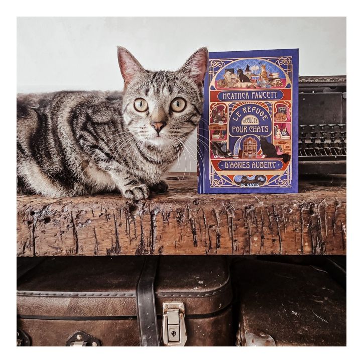 photo de Le refuge occulte pour chats d’Agnès Aubert de Heather Fawcett
avec un petit chat à côté