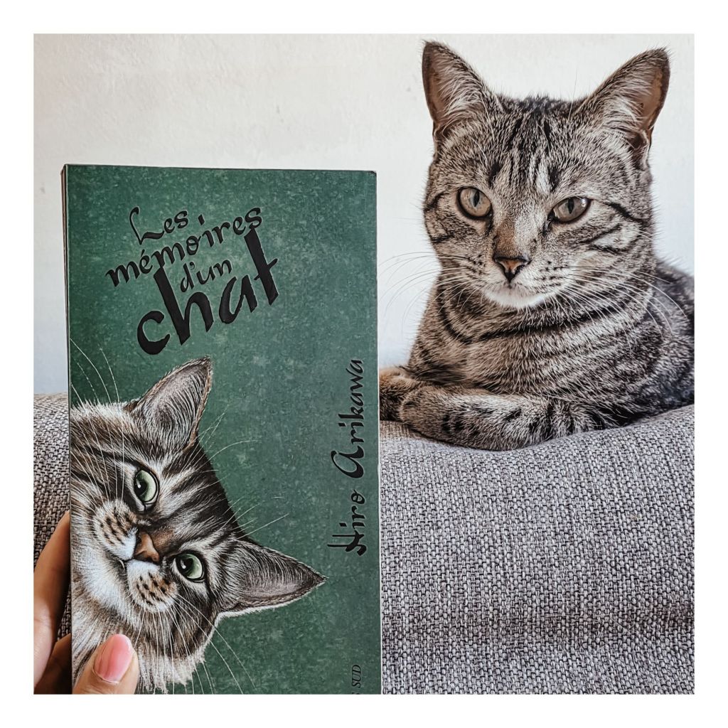 Les mémoires d'un chat (relecture) - Hiro Arikawa