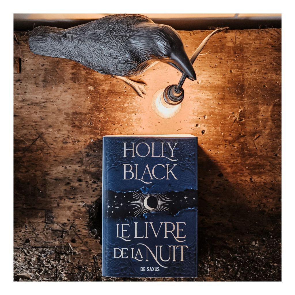 Le livre de la Nuit de Holly Black