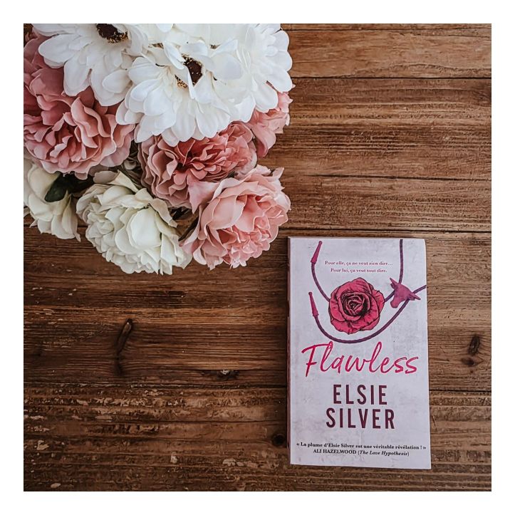Chestnut Springs : Flawless - Tome 1 de Elsie Silver