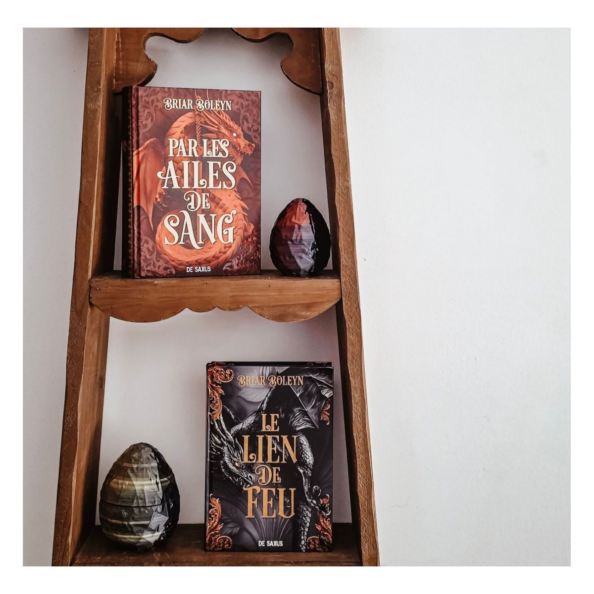 L’Académie du sang ailé, T2 : Le lien de feu– Briar Boleyn