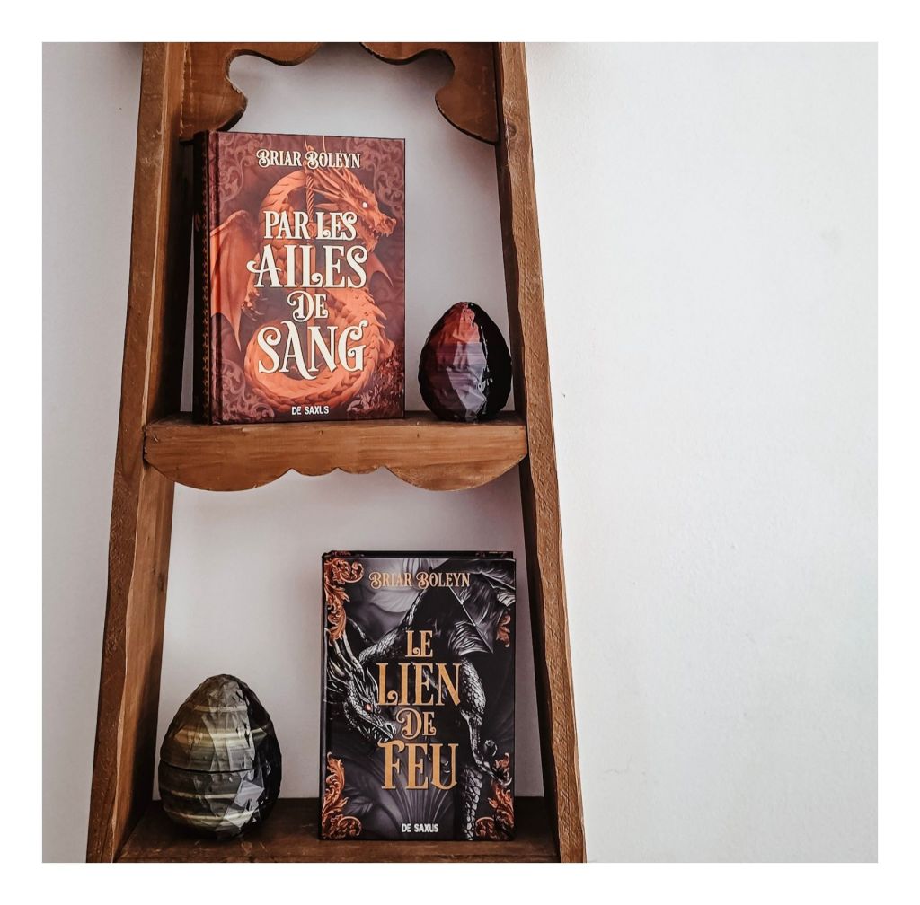 Le lien de feu de Briar Boleyn, L'académie du sang ailé tome 2