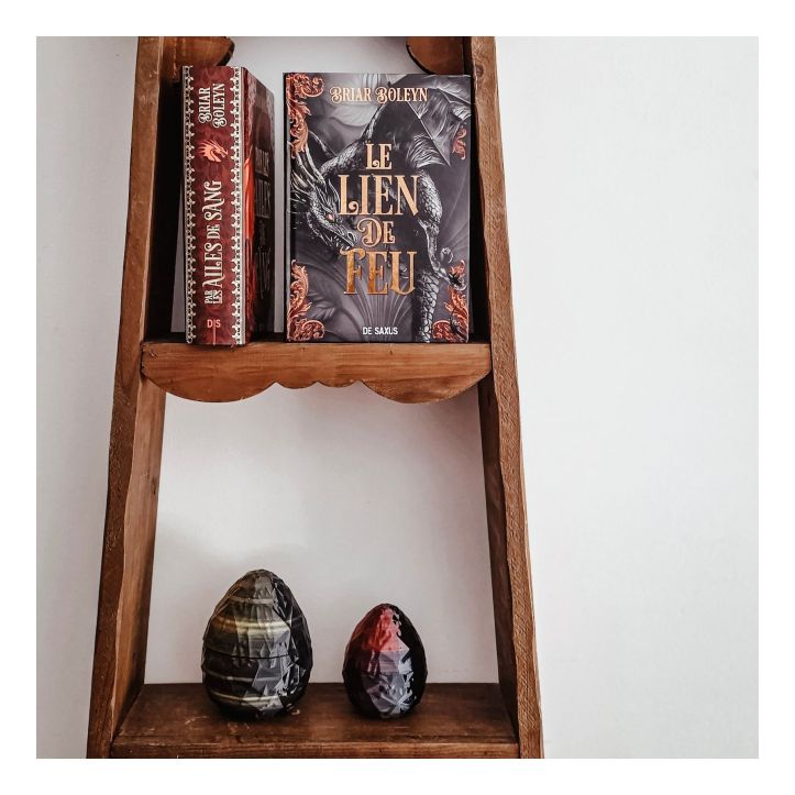 Le lien de feu de Briar Boleyn, L'académie du sang ailé tome 2