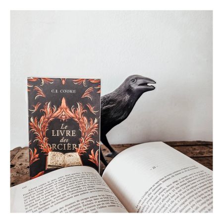 Le livre des Sorcières de C.J. Cooke